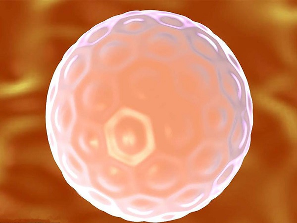 孕囊枯萎属于胚胎停育的一种
