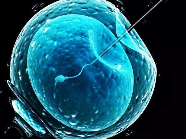 胚胎移植受多个因素影响