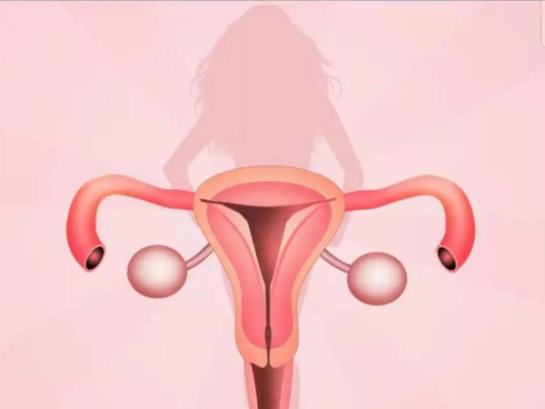 女性的子宫内膜厚度会影响试管婴儿