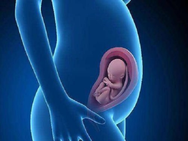 孕囊只在妊娠早期看到