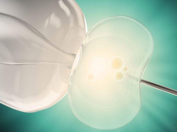 鲜胚移植是一种胚胎移植方式