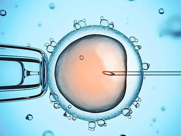 胚胎移植前孕酮过高不能移植