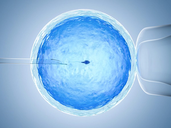 移植鲜胚不成功一般在7-9天可以感觉到
