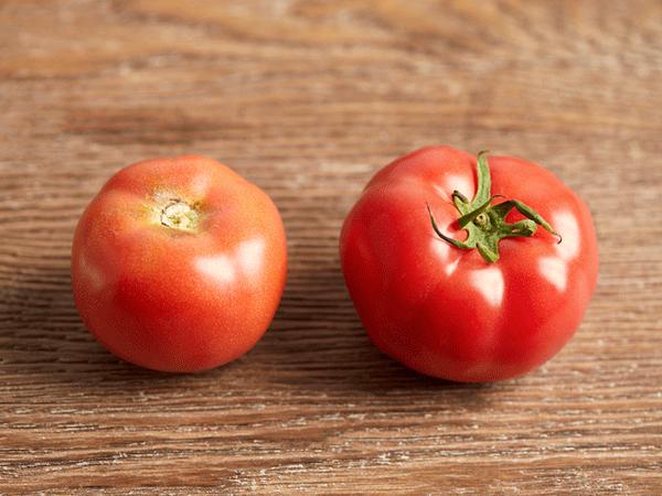 男性备孕可以吃西红柿