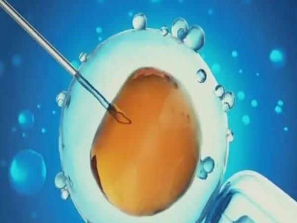 不是人人做试管都能移植鲜胚
