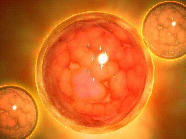 12个胚胎养囊成功了4个出囊率不算太高