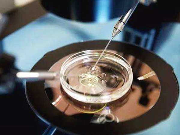试管移植前需要胚胎送检