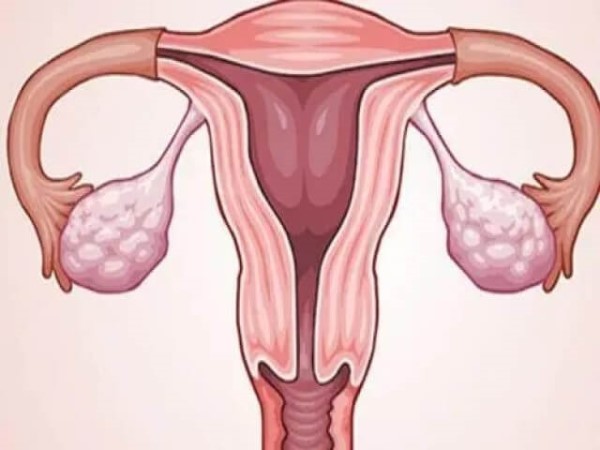 影响移植两个囊胚成功率的因素
