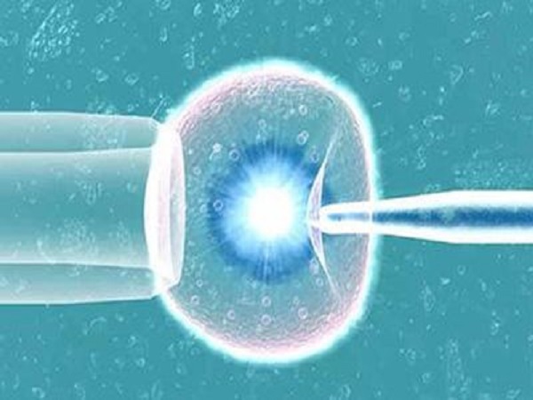 胚胎发育不良可能导致胚胎停育