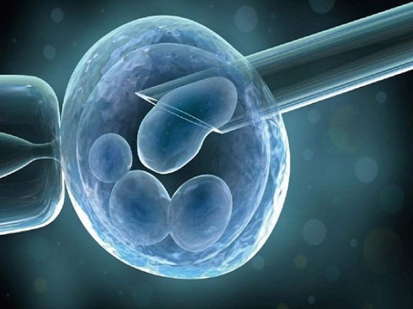 三代试管婴儿能筛选优质胚胎