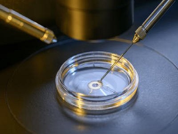检测胚胎是否合格时主要观察的指标不同