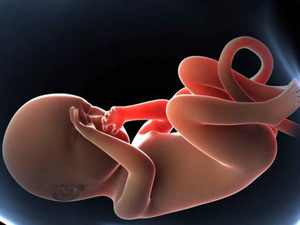 孕期出现一些病毒或者疾病很容易影响试管婴儿智商