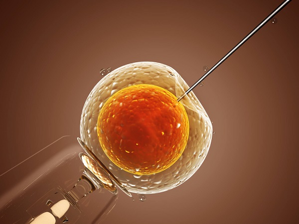 43岁的女性做三代试管只移植一个胚胎有可能成功