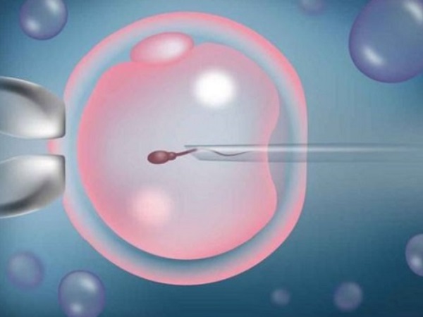 41岁女性做试管配成4个优势胚胎可能会成功