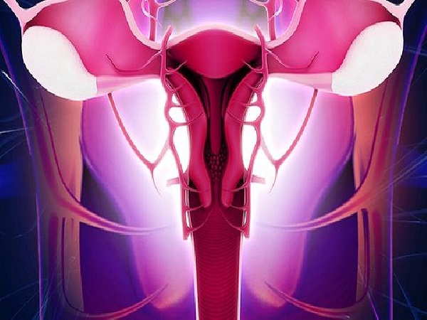 子宫内膜便后和雌孕激素有关
