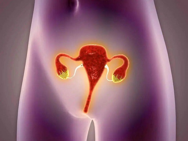 胚胎移植后一直平躺子宫可能会不适
