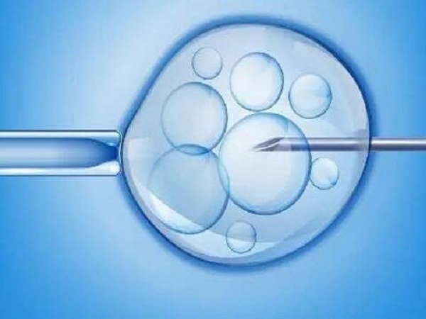 鲜胚移植第十天白板通常情况下希望不是特别大