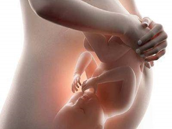 试管婴儿怀孕后并不容易出现胎盘低置
