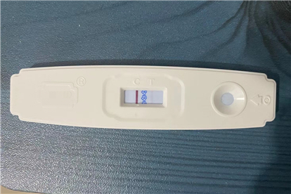 尿妊娠试验阳性(+)图片
