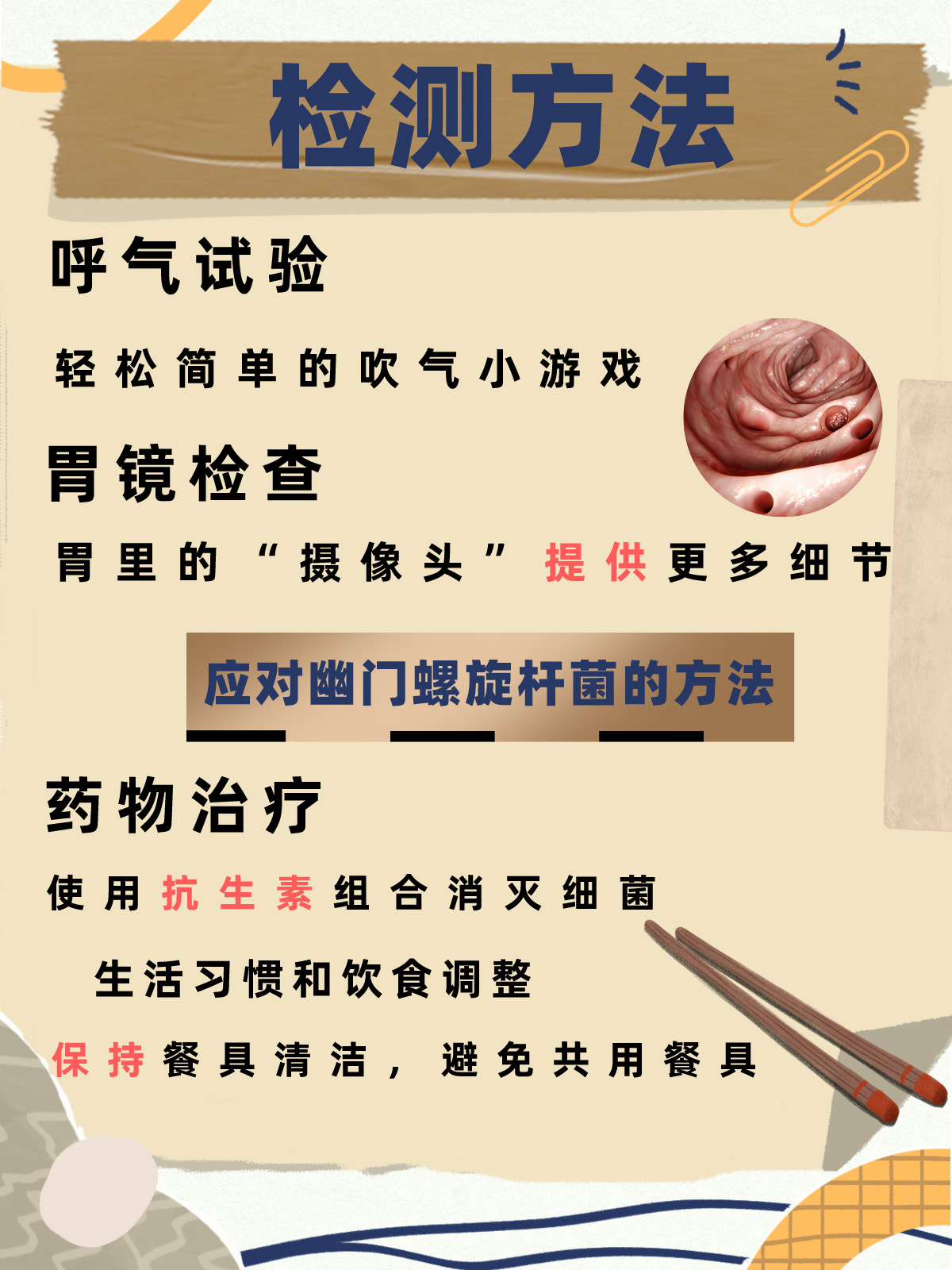 幽门螺旋杆菌检查与治疗全攻略