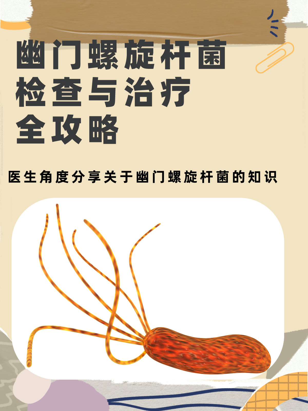 幽门螺旋杆菌检查与治疗全攻略