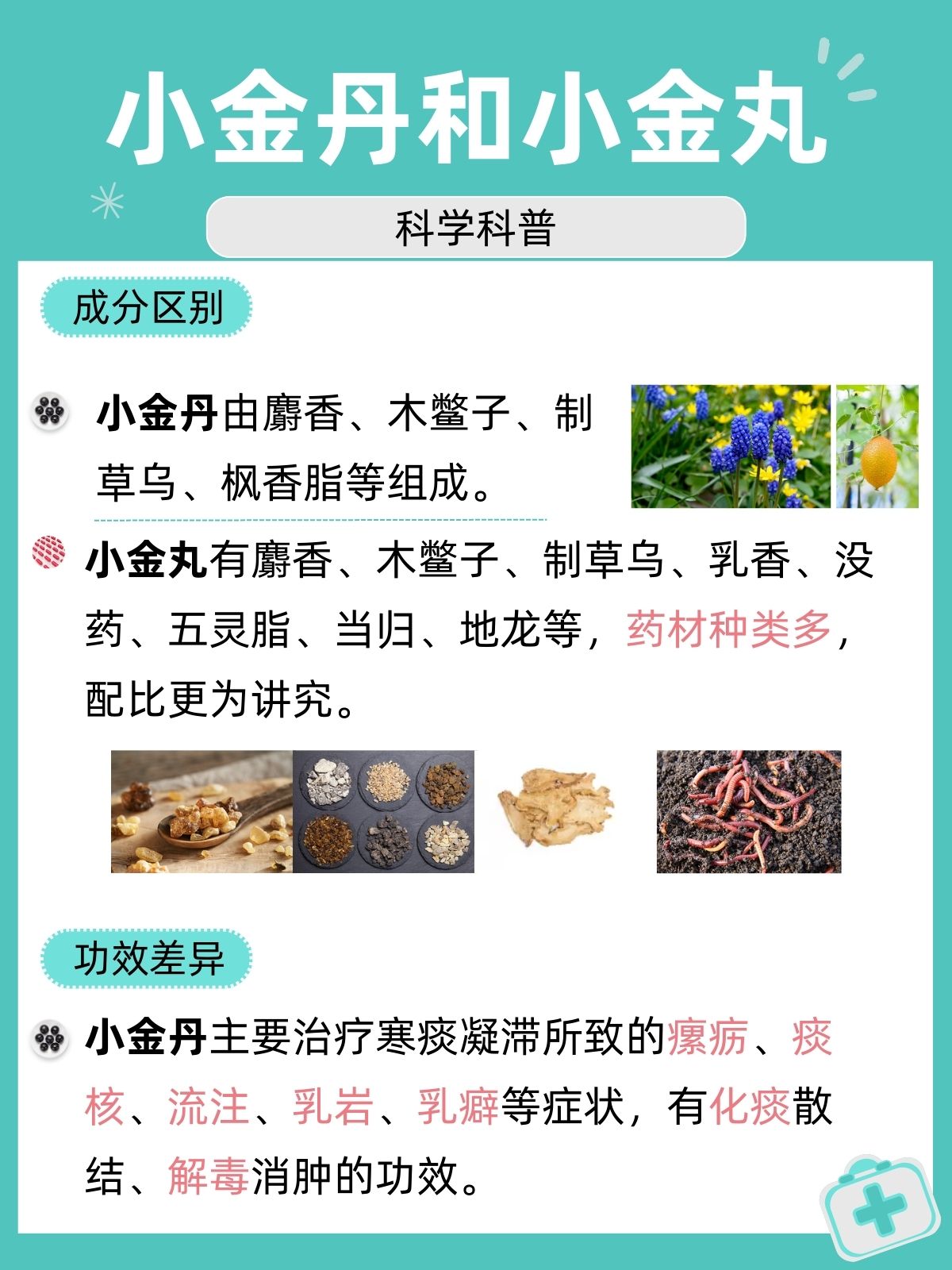 小金丸的功效与作用图片