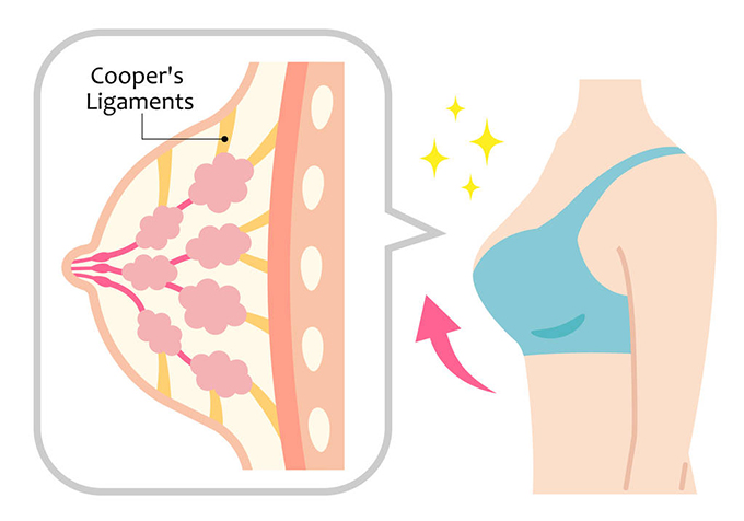 女性如何科学改善胸部下垂，这几个方法要知道
