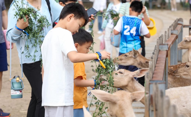 北京儿童医院血友病儿童关爱活动暖心开启，助患儿拥抱自然、拥抱自由身心