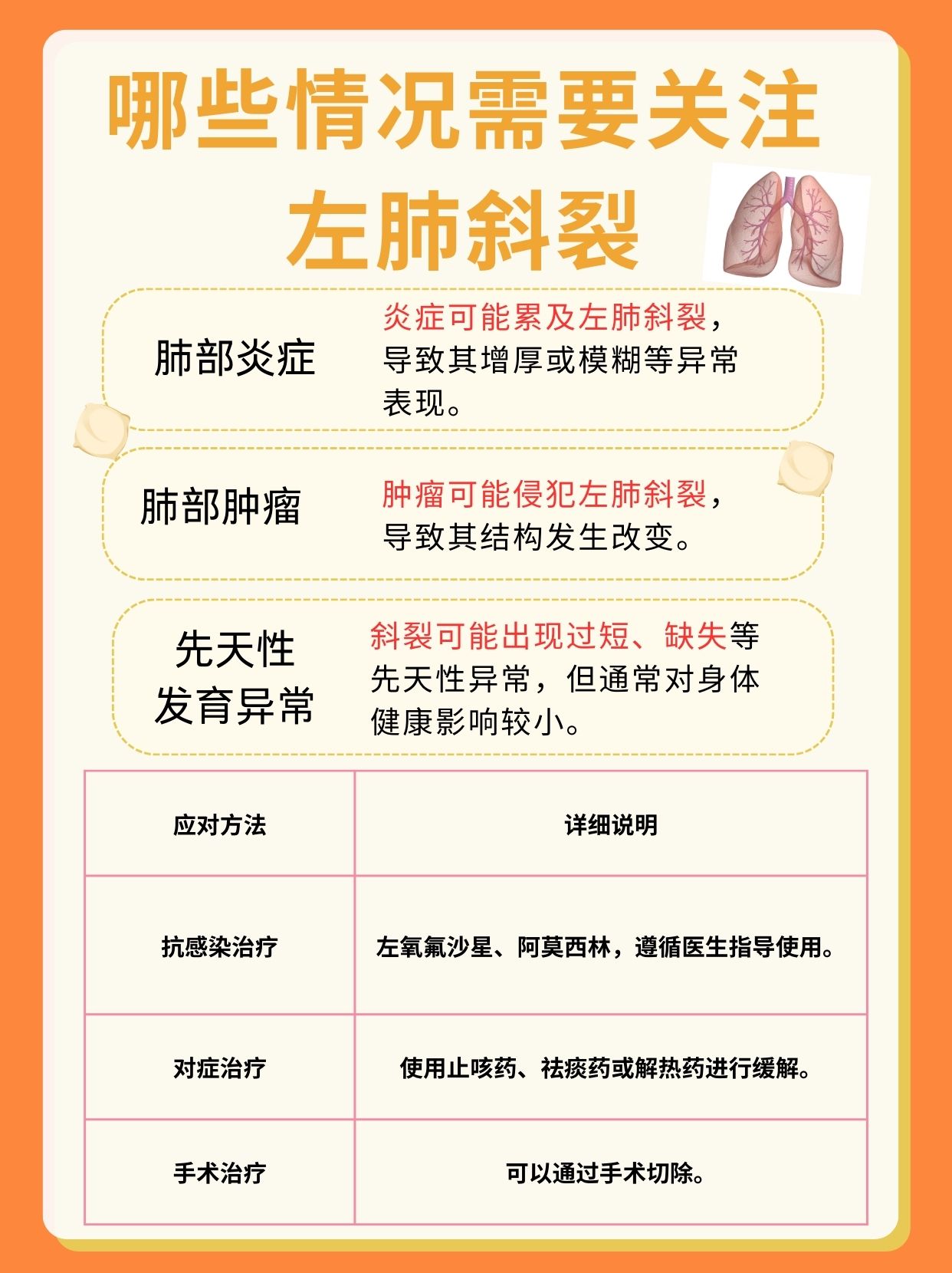 左肺斜裂不是病，了解它更放心呵护肺健康