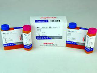 载脂蛋白B检测试剂盒(免疫浊度法)(英文名称：ApoLPB (APOB) Test Kit)