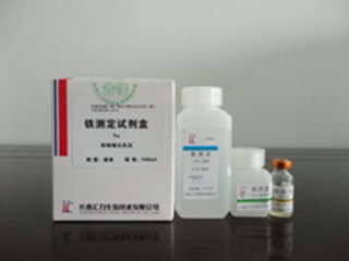 铁蛋白测定试剂盒(化学发光免疫法)