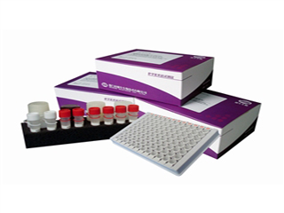 铁蛋白测定试剂盒(免疫比浊法)(FER)