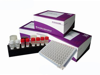 促黄体生成激素(LH)定量检测试剂盒(时间分辨荧光免疫分析法)