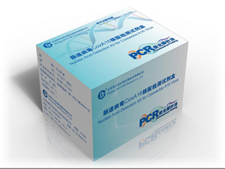 肠道病毒通用型核酸测定试剂盒(荧光PCR法)