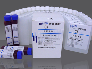 肌酸激酶测定试剂盒（N-乙酰半胱氨酸法）