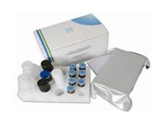 三明博峰 抗肾小球基底膜抗体(ANTI-GBM)检测试剂盒(酶联免疫法)