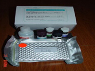 抗HCG抗体诊断试剂盒(金标法)