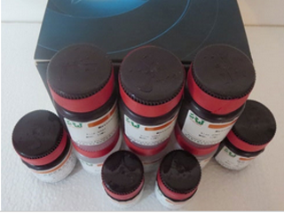 血清尿酸（UA）测定试剂盒