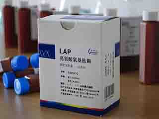 亮氨酸氨肽酶检测试剂盒(L-亮氨酸-P-硝基酰基苯胺底物法)