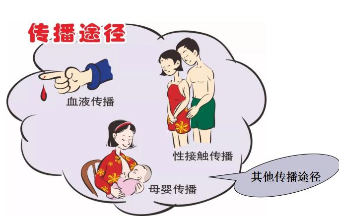 上海性病专科医院-生殖器疱疹治疗多少钱