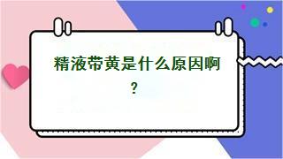 精液带黄是什么原因啊？