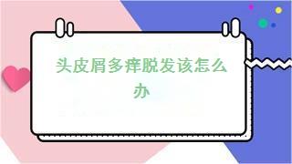 头皮屑多痒脱发该怎么办