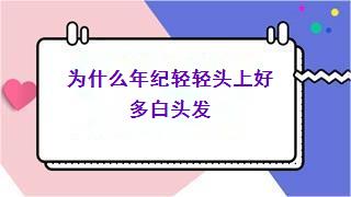 为什么年纪轻轻头上好多白头发