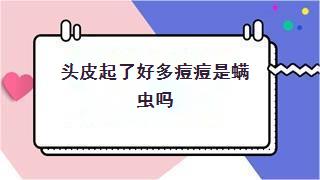 头皮起了好多痘痘是螨虫吗