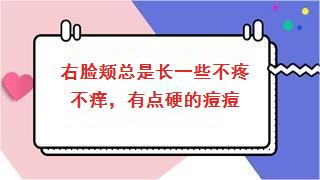 右脸颊总是长一些不疼不痒，有点硬的痘痘