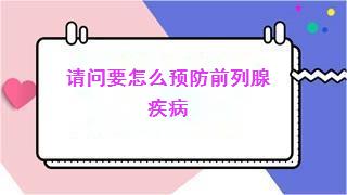 请问要怎么预防前列腺疾病