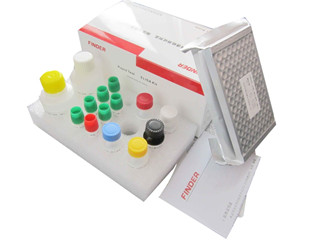 鑫诺美迪 BK病毒核酸定量检测试剂盒(PCR-荧光探针法)