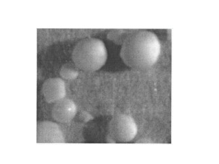 施乐辉 聚乳酸羟基磷灰石螺钉(商品名：BIOSURE HA)