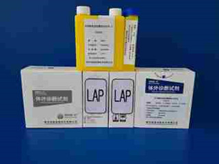 利德曼 亮氨酸氨基肽酶测定试剂盒-LAP(L－亮氨酸-p-硝基苯胺底物法)