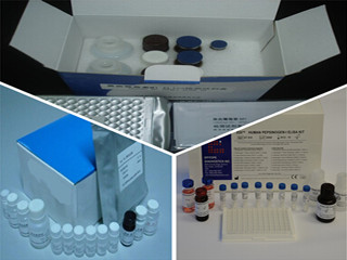 康思润业 肌红蛋白检测试剂盒(Myo)